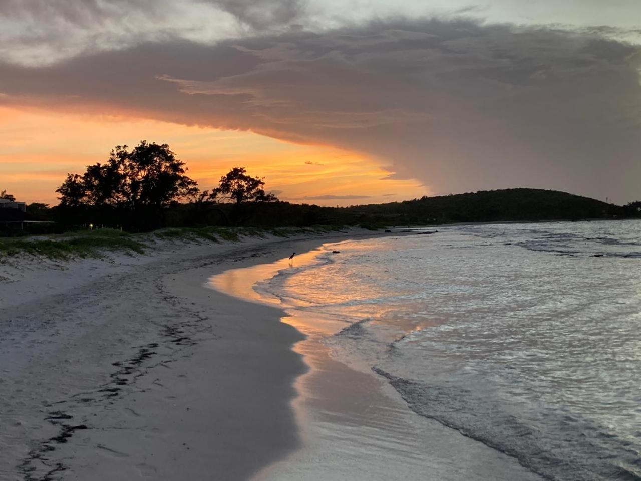 Beachside Calm, Footsteps To The And Sea Appartamento *